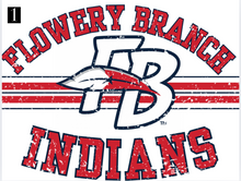 Load image into Gallery viewer, FLOWERY BRANCH INDIANS - CEBL
