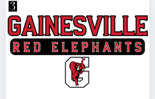 Load image into Gallery viewer, GAINESVILLE RED ELEPHANTS - CEBL
