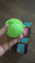Load and play video in Gallery viewer, Cat Fuzz Squishy
